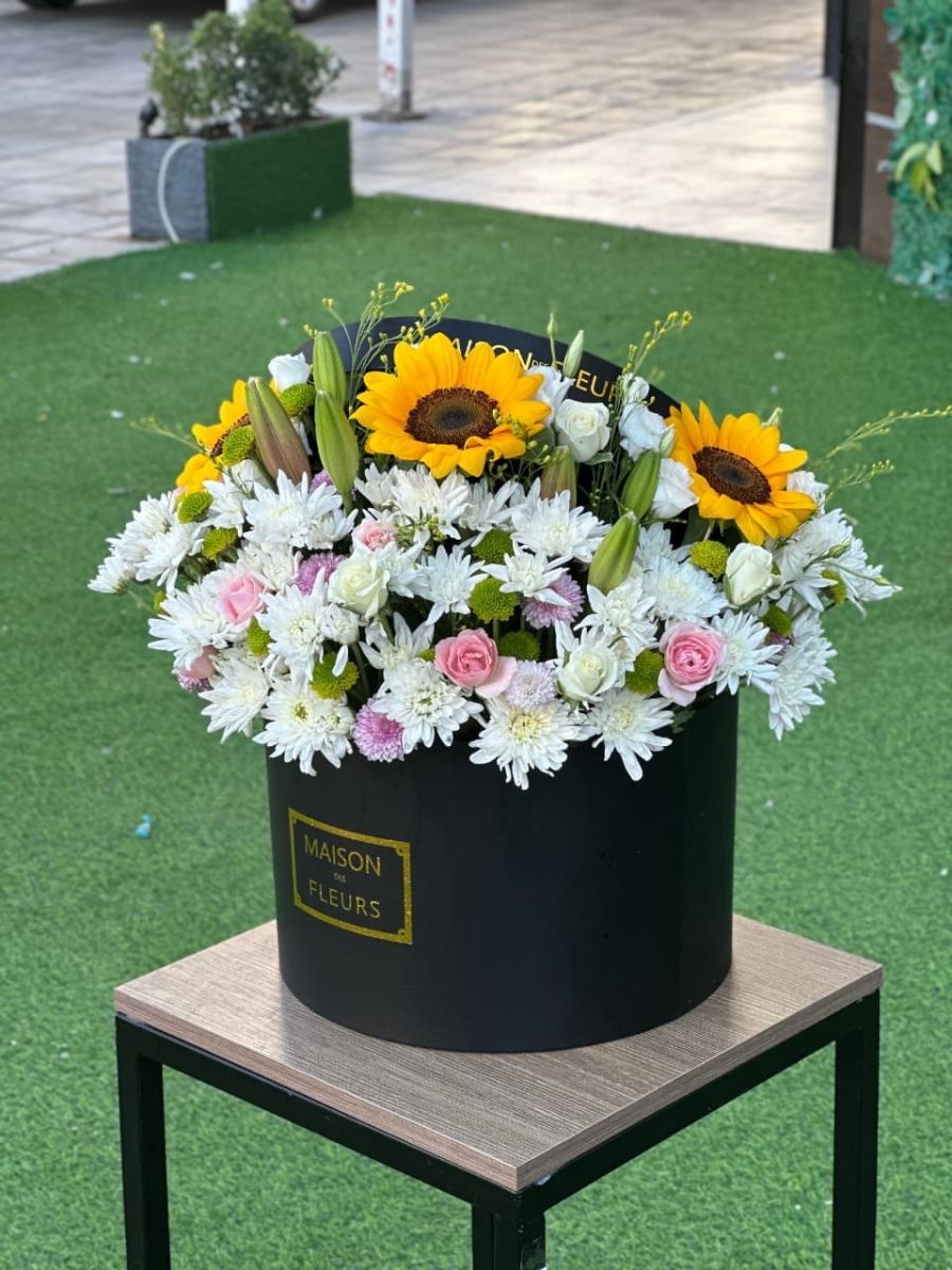 بوكس ورد كبير